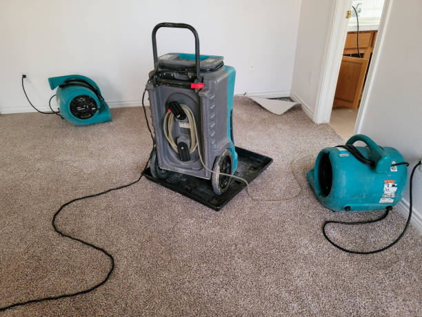 Best Water damage restoration mold remediation  in Kuna, ID