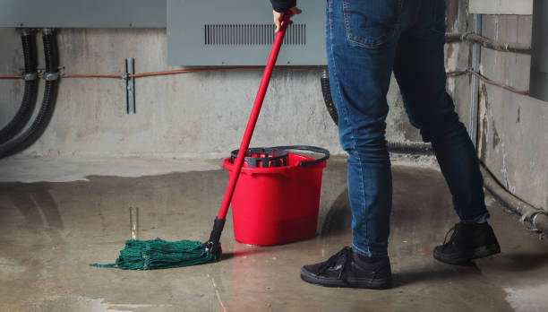 Best Basement water damage restoration  in Kuna, ID