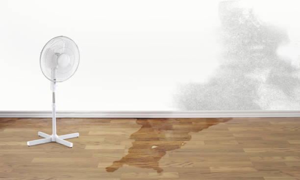 Best Water damage restoration process  in Kuna, ID