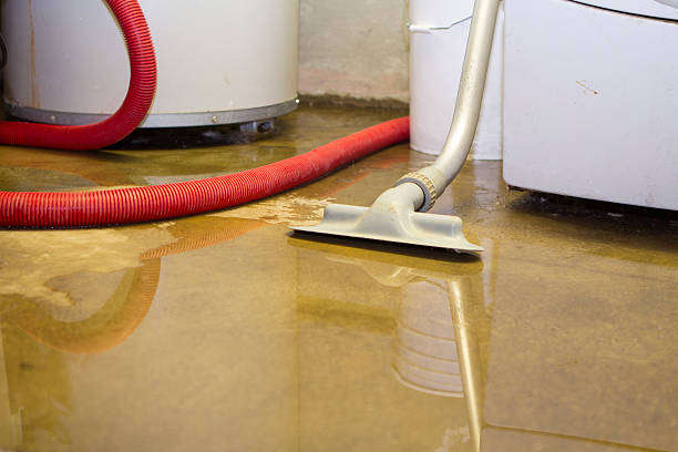 Best Carpet water damage restoration  in Kuna, ID