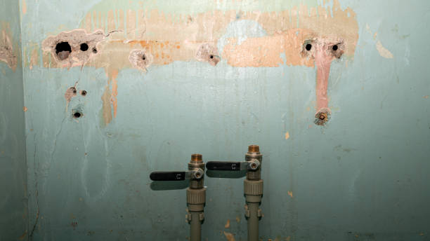 Best Water damage restoration company  in Kuna, ID