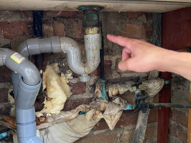 Reliable ID Water damage restoration Solutions