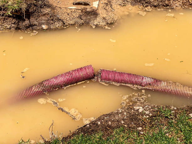 Best Local water damage restoration  in Kuna, ID