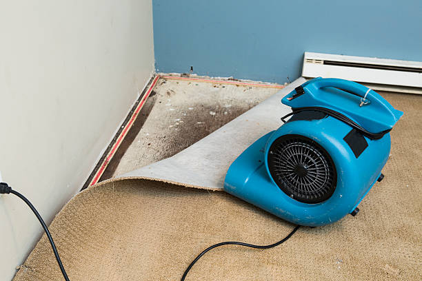 Best Flood restoration services  in Kuna, ID